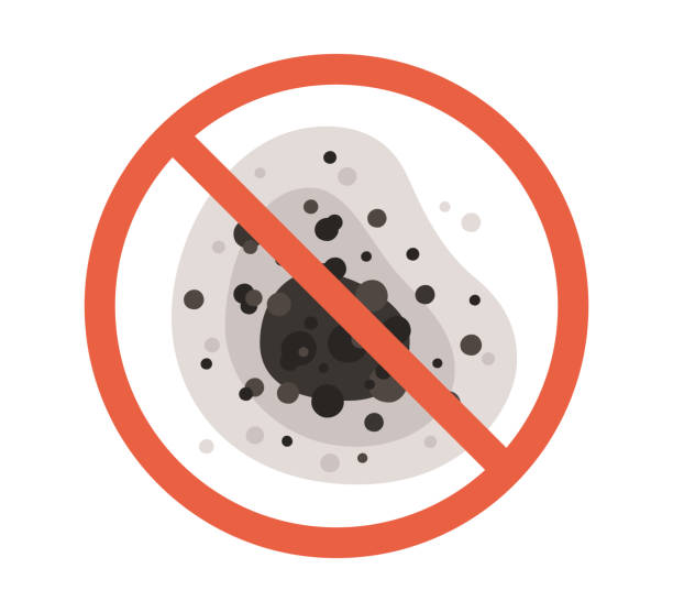 Baxter Village, SC Mold Removal Company