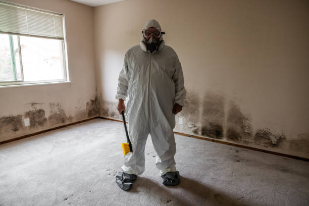 Best Asbestos and Lead Testing During Mold Inspection  in Baxter Village, SC